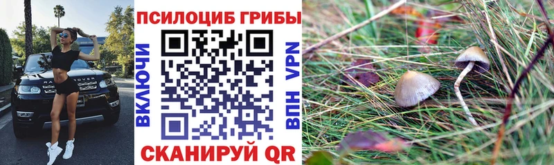 Купить  Невьянск  Псилоцибиновые грибы GOLDEN TEACHER 