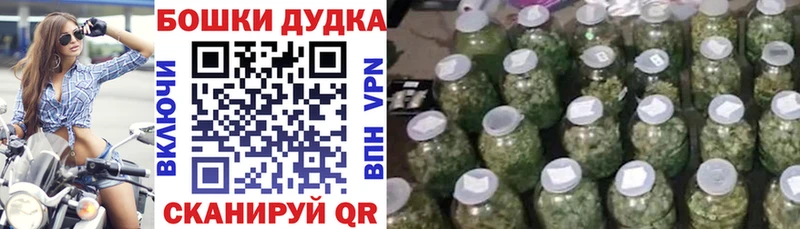 Шишки марихуана Bruce Banner  Купить закладки  Невьянск 